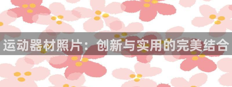 凯捷体育集团：运动器材照片：创新与实用的完美结合