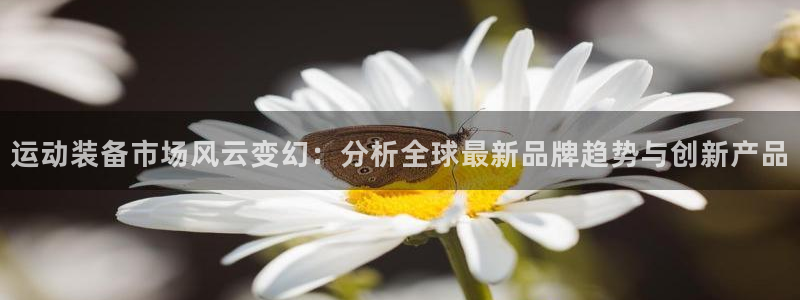 凯捷体育招商电话号码是多少号：运动装备市场风云变幻：