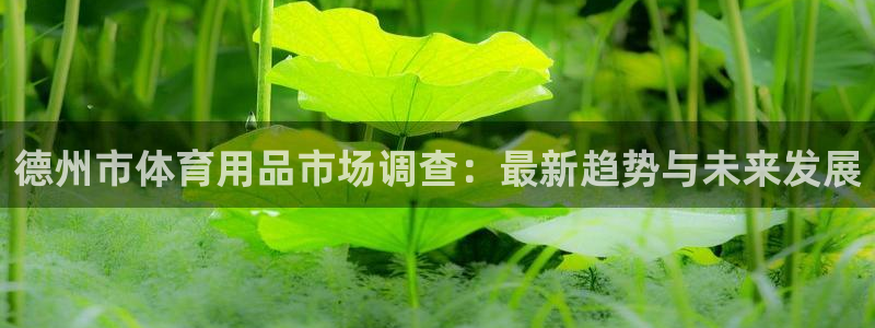 凯捷体育娱乐：德州市体育用品市场调查：最新趋势与未来