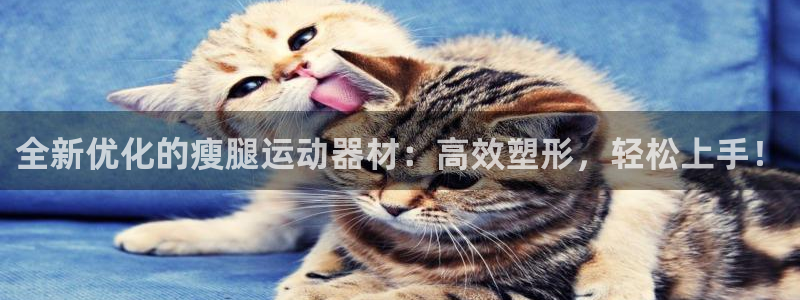 凯捷体育平台是正规平台吗知乎：全新优化的瘦腿运动器材