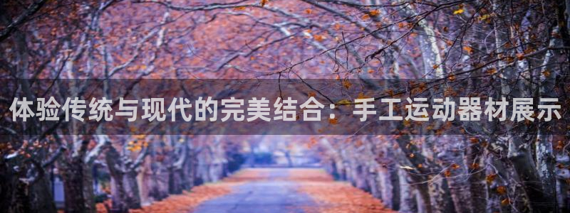 凯捷体育软件：体验传统与现代的完美结合：手工运动器材