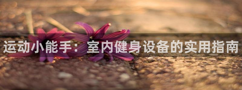 凯捷体育：运动小能手：室内健身设备的实用指南
