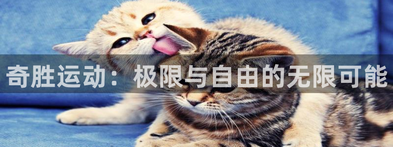 凯捷体育招商电话地址查询：奇胜运动：极限与自由的无限可能
