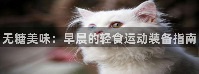 凯捷体育联系电话：无糖美味：早晨的轻食运动装备指南