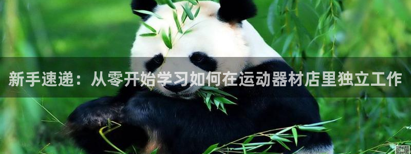 凯捷体育官网：新手速递：从零开始学习如何在运动器材店