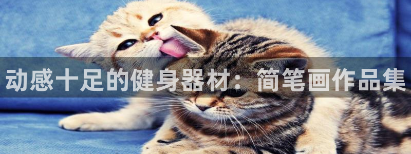 凯捷体育平台假的吗是真的吗吗：动感十足的健身器材：简笔画作品