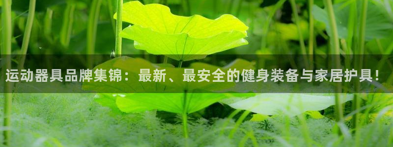 凯捷体育集团logo：运动器具品牌集锦：最新、最安全
