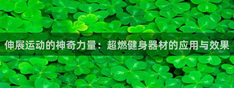 凯捷体育开户：伸展运动的神奇力量：超燃健身器材的应用