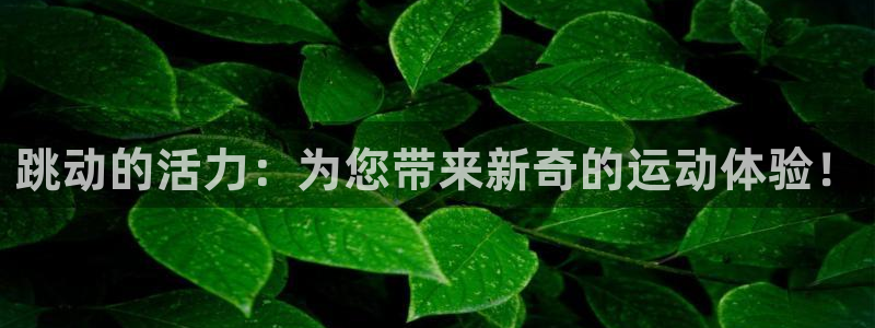 凯捷体育是干嘛的公司：跳动的活力：为您带来新奇的运动