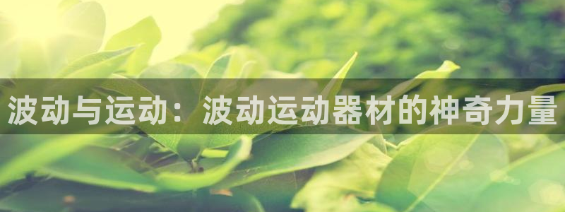 凯捷体育娱乐40996：波动与运动：波动运动器材的神
