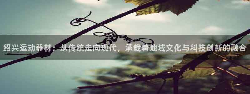 凯捷体育开户：绍兴运动器材：从传统走向现代，承载着地
