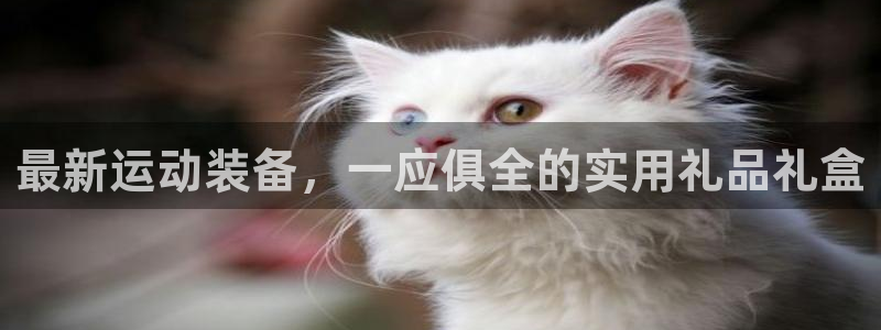 凯捷体育平台是正规平台吗安全吗：最新运动装备，一应俱