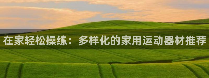 凯捷体育娱乐首页网站大全：在家轻松操练：多样化的家用