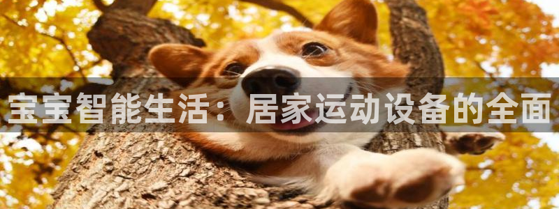 凯捷体育招商电话地址查询：宝宝智能生活：居家运动设备