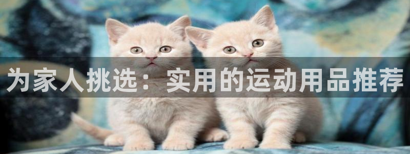 德国凯捷体育集团：为家人挑选：实用的运动用品推荐