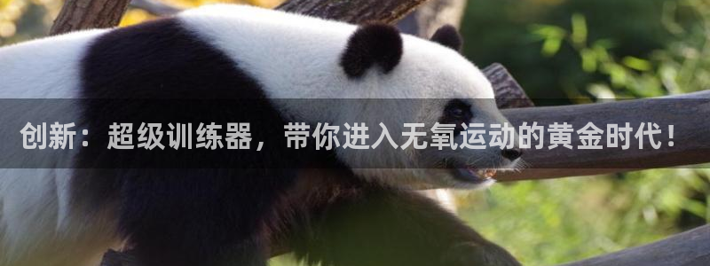 凯捷体育招商电话号码查询是多少：创新：超级训练器，带