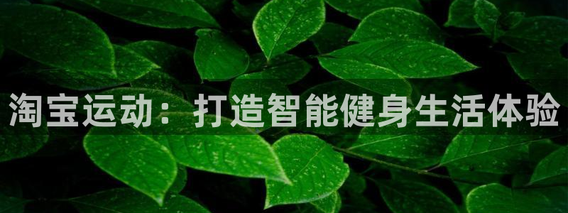 凯捷体育平台是正规平台吗：淘宝运动：打造智能健身生活