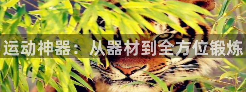 凯捷体育集团简介：运动神器：从器材到全方位锻炼