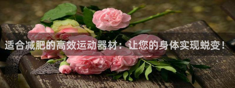 意昂集团官网：适合减肥的高效运动器材：让您的身体实现
