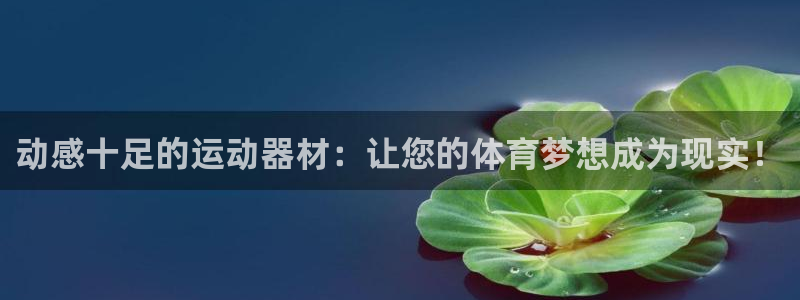 凯捷体育平台注册要钱吗安全吗：动感十足的运动器材：让