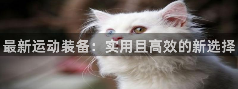 凯捷体育神州：最新运动装备：实用且高效的新选择