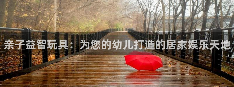 凯捷体育五金厂：亲子益智玩具：为您的幼儿打造的居家娱