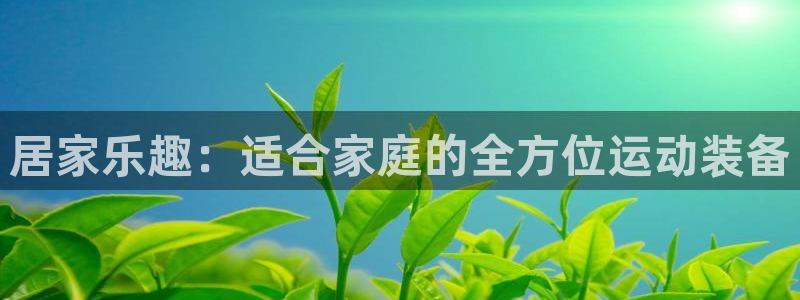 凯捷体育注册：居家乐趣：适合家庭的全方位运动装备