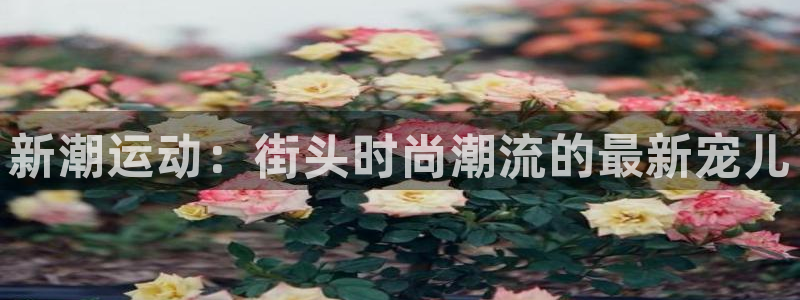 意昂集团官网