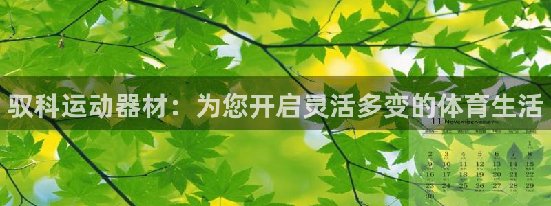 凯捷体育娱乐：驭科运动器材：为您开启灵活多变的体育生