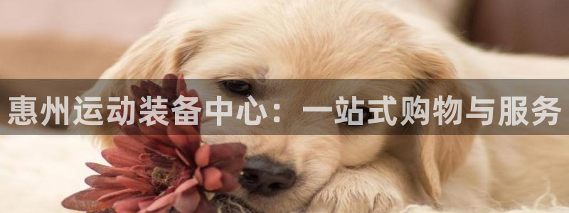 凯捷体育平台注册要钱吗安全吗：惠州运动装备中心：一站式购物与