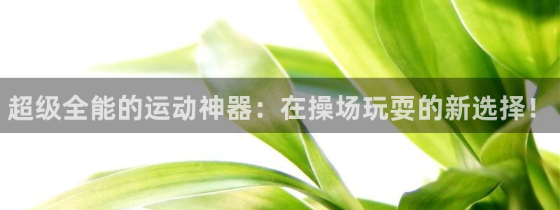 凯捷体育娱乐40996