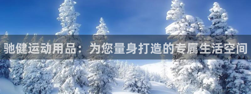 凯捷体育是干嘛的公司
