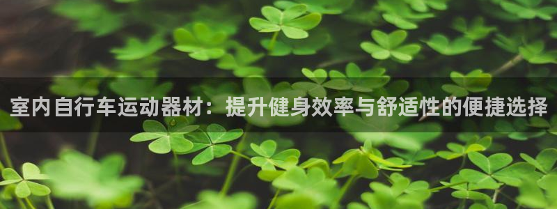 意昂集团官网：室内自行车运动器材：提升健身效率与舒适