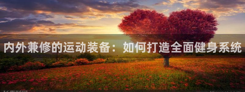 凯捷体育集团官网网址：内外兼修的运动装备：如何打造全