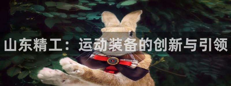 凯捷体育注册：山东精工：运动装备的创新与引领