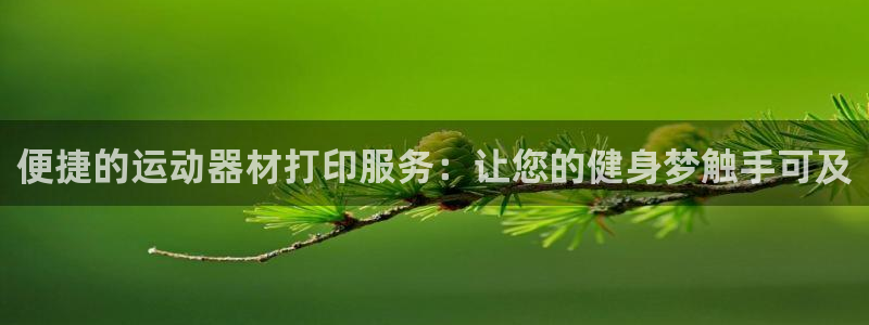 凯捷体育开户：便捷的运动器材打印服务：让您的健身梦触手可及