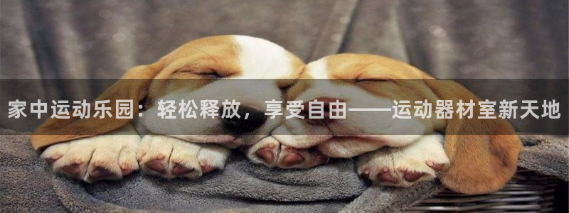 凯捷体育官方客服电话：家中运动乐园：轻松释放，享受自由——运