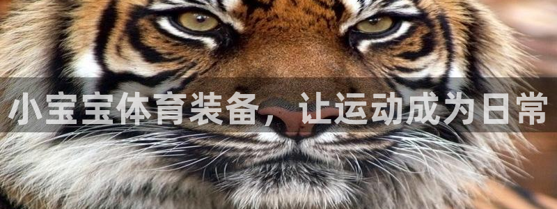 凯捷体育神州：小宝宝体育装备，让运动成为日常