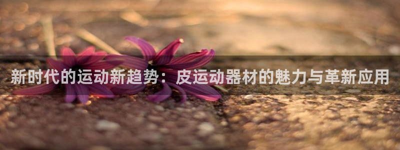 凯捷体育娱乐下载：新时代的运动新趋势：皮运动器材的魅力与革新
