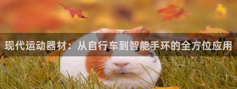 凯捷体育平台是正规平台吗知乎：现代运动器材：从自行车到智能手