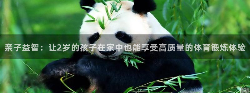 凯捷体育官方：亲子益智：让2岁的孩子在家中也能享受高