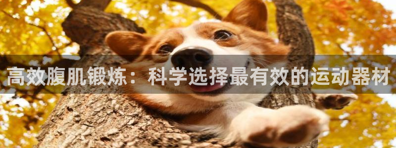 德国凯捷体育集团：高效腹肌锻炼：科学选择最有效的运动