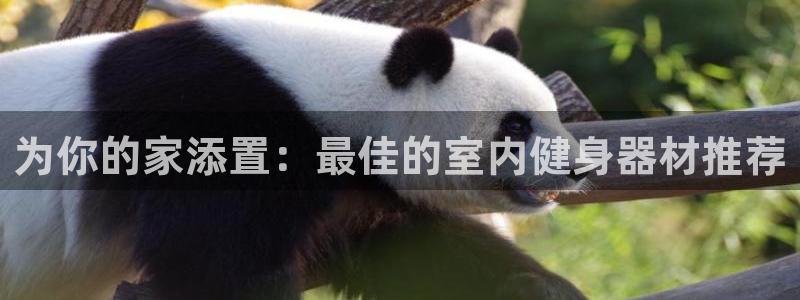 注册凯捷体育：为你的家添置：最佳的室内健身器材推荐