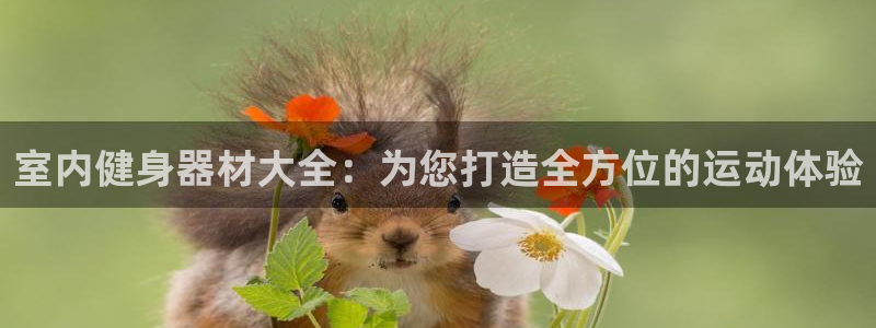 凯捷体育代理：室内健身器材大全：为您打造全方位的运动