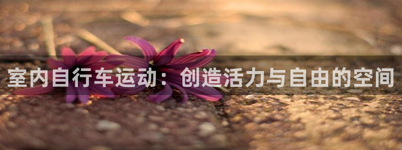 凯捷体育平台：室内自行车运动：创造活力与自由的空间