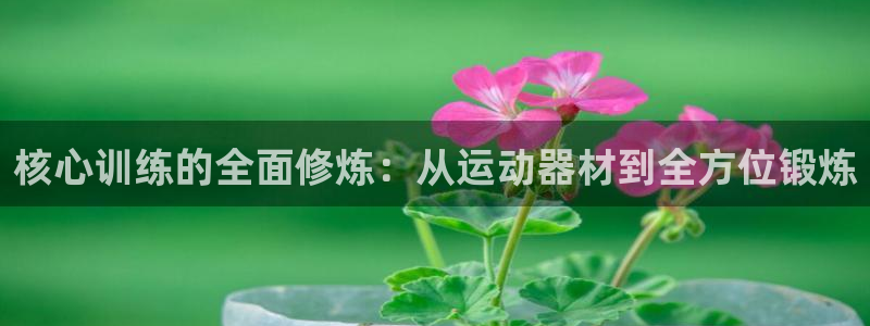 凯捷体育招商电话地址查询：核心训练的全面修炼：从运动器材到全