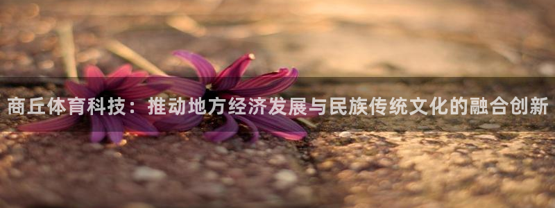 意昂平台体育：商丘体育科技：推动地方经济发展与民族传统文化的