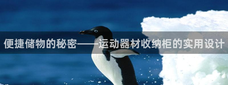 凯捷体育娱乐是那个系列的台子：便捷储物的秘密——运动