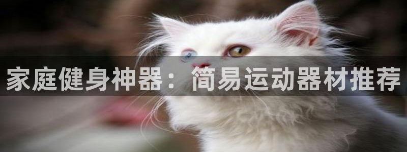 凯捷体育平台注册要钱吗安全吗：家庭健身神器：简易运动