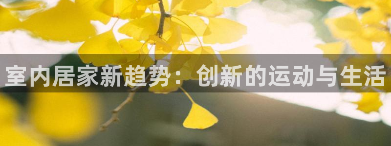 凯捷体育神州：室内居家新趋势：创新的运动与生活